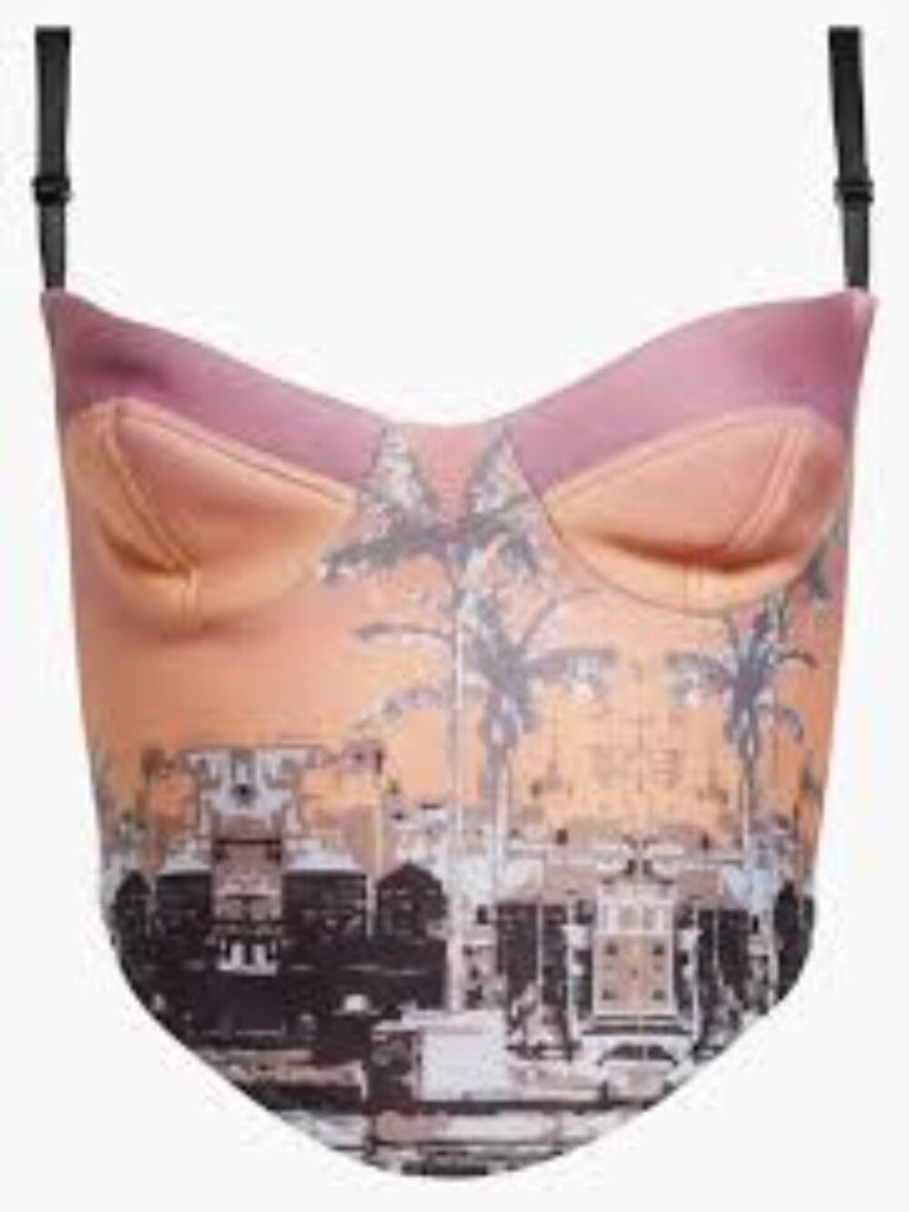 Sammy B Alex Corset-Inspired Cups and Ombré Skyline Crop Top. Sz: M